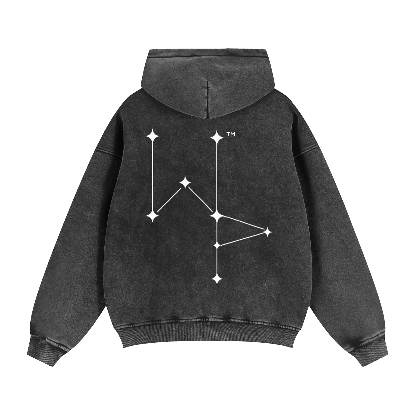 “EW + Constellation” logo Zip-Up Hoodie